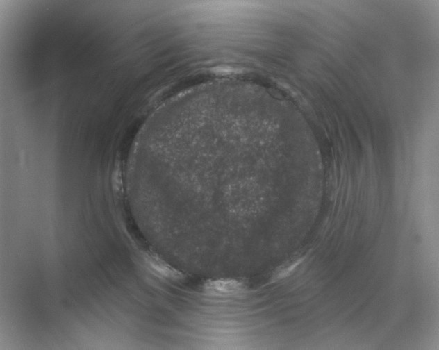 X0000074040137200609182002