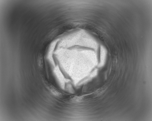 X0000074040138200609182002