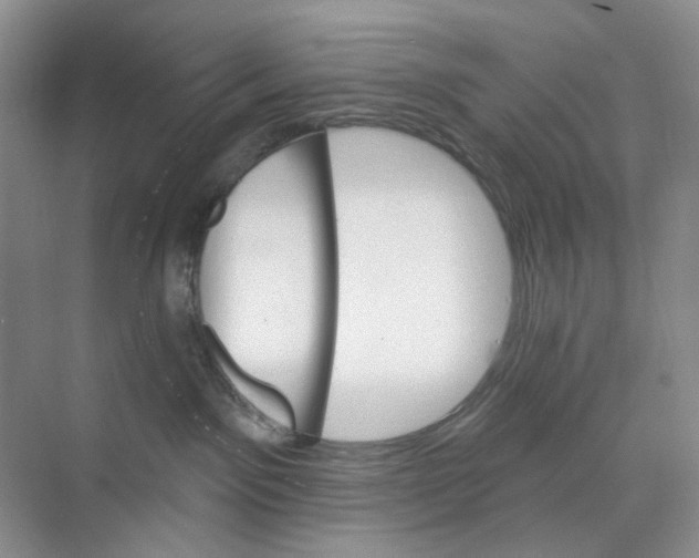 X0000074040141200609182002