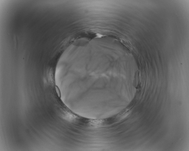 X0000074040143200609182002