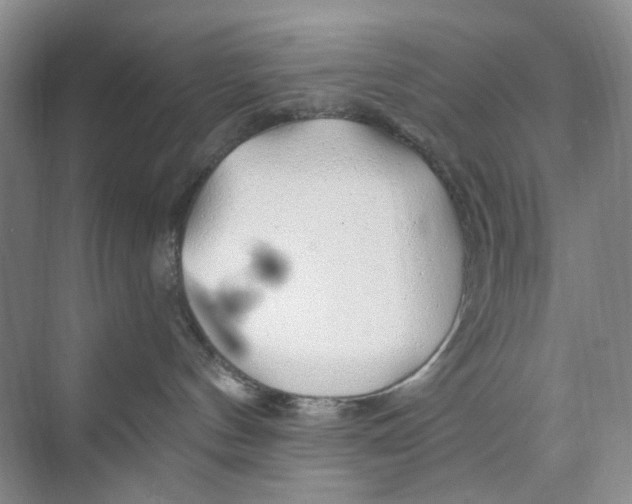 X0000074040144200609182002