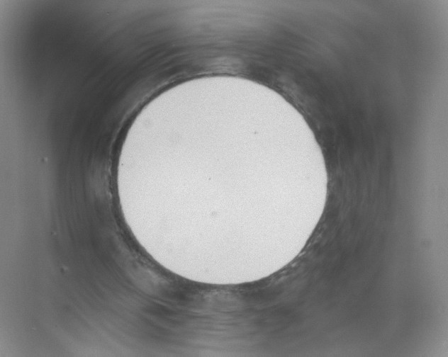 X0000074040146200609182001