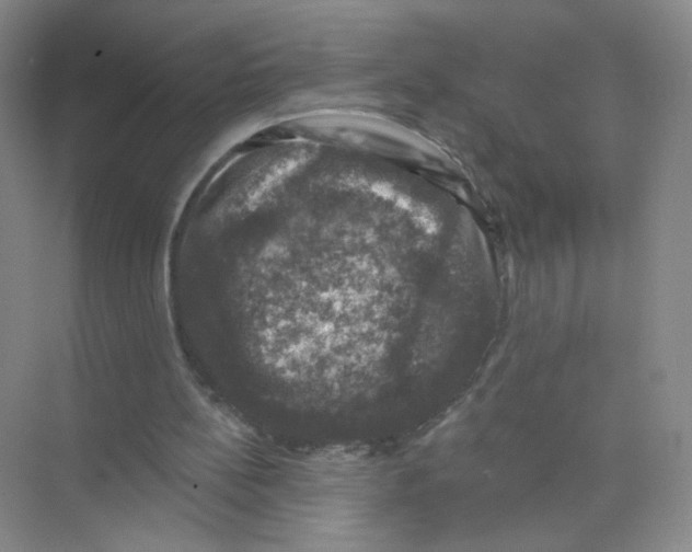 X0000074040148200609182001