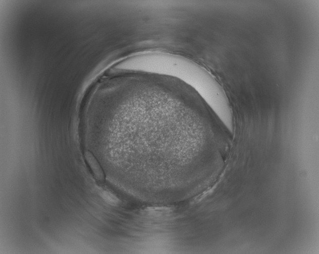 X0000074040150200609182001