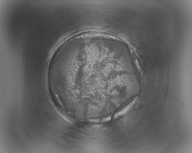 X0000074040151200609182001