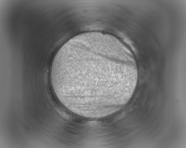 X0000074040153200609182001