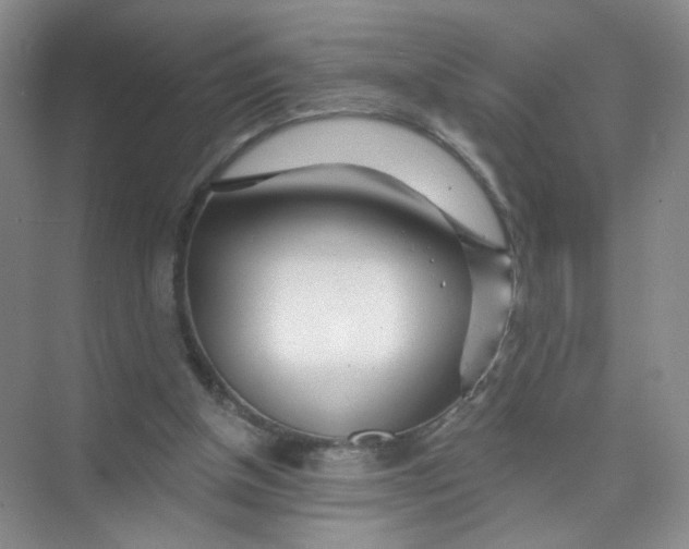 X0000074040154200609182001