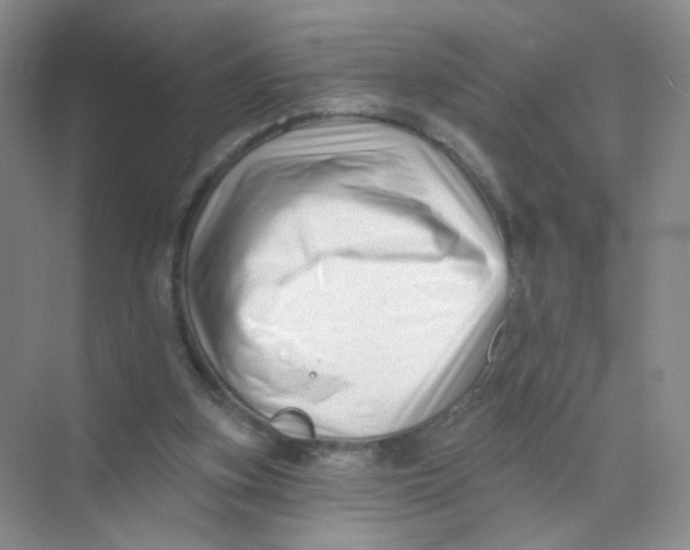 X0000074040155200609182001