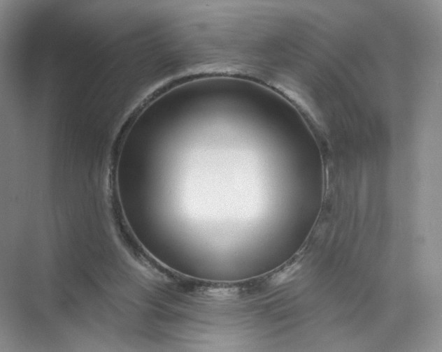 X0000074040156200609182001