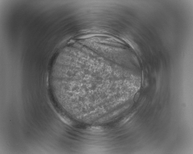 X0000074040157200609182001