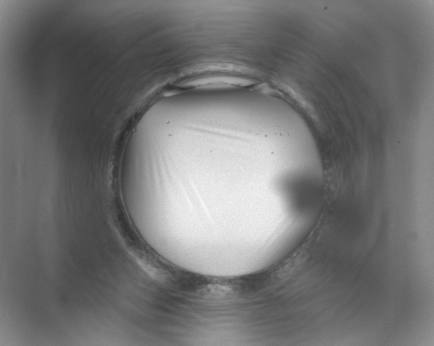 X0000074040159200609182001