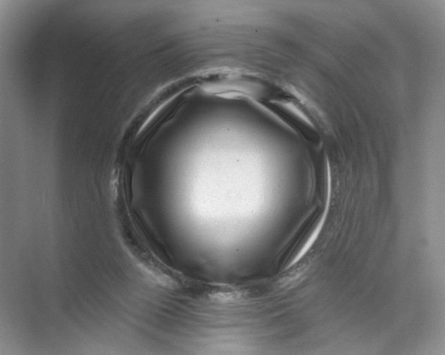 X0000074040160200609182001