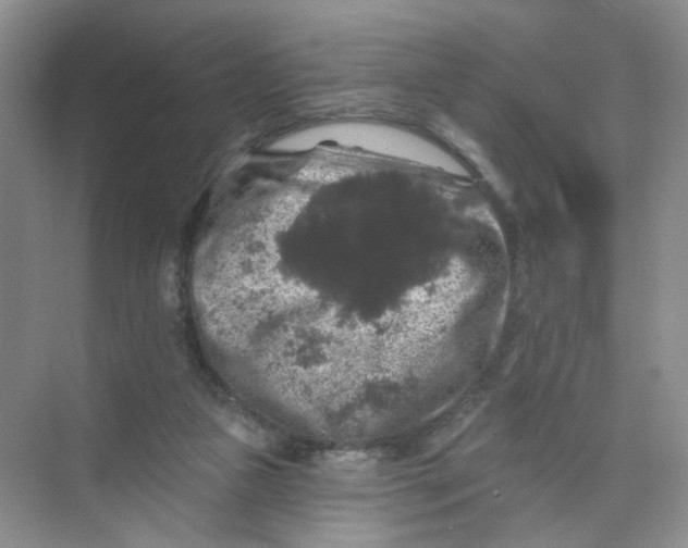 X0000074040161200609182001