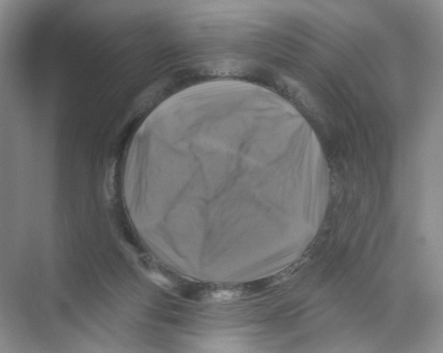 X0000074040163200609182001