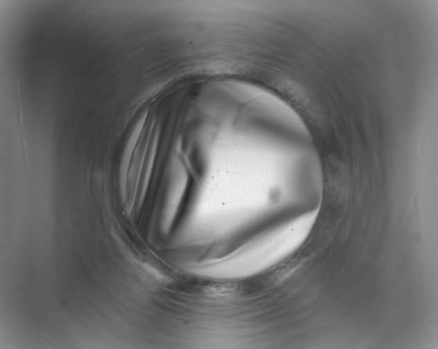 X0000074040164200609182002