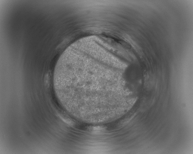 X0000074040165200609182002