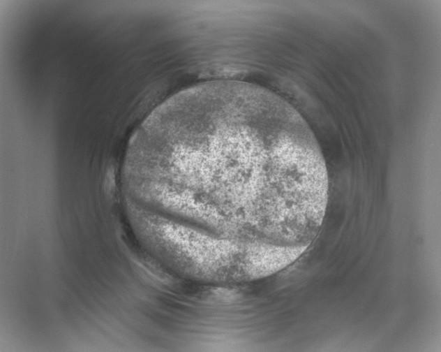 X0000074040166200609182002