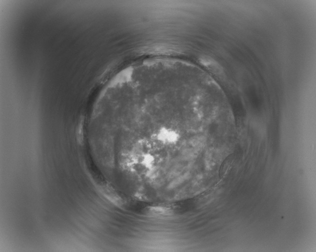 X0000074040167200609182002