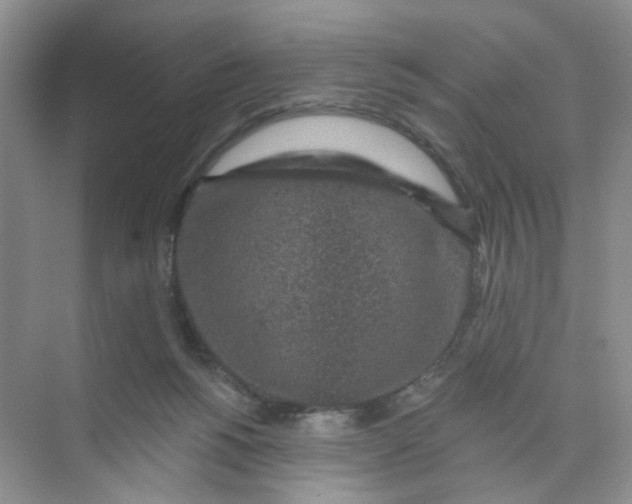 X0000074040168200609182002