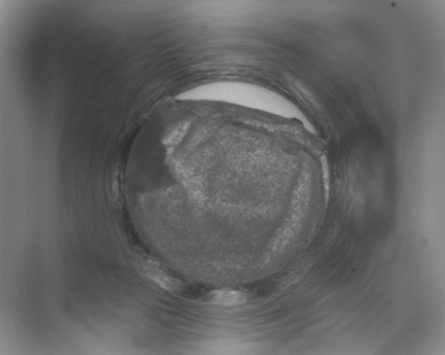 X0000074040169200609182002