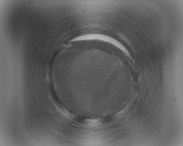 X0000074040170200609182002