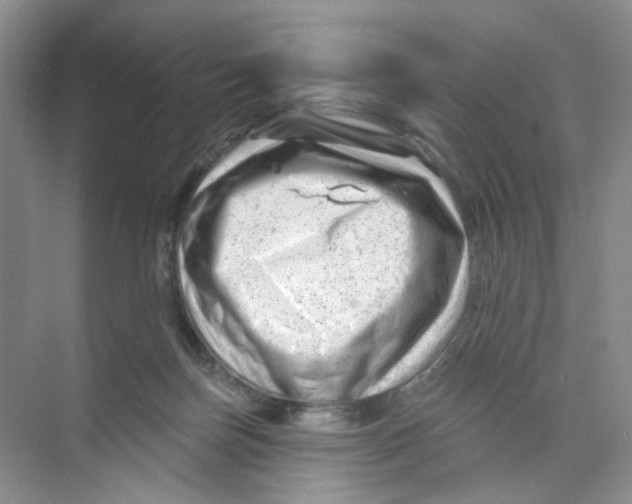 X0000074040171200609182002