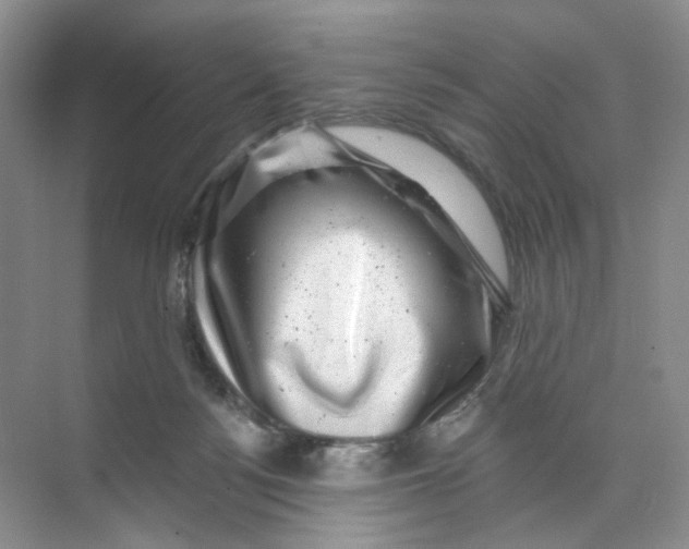 X0000074040172200609182002