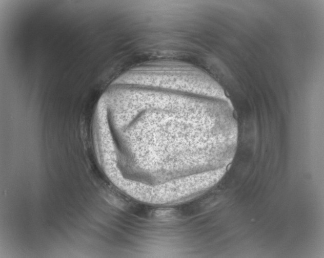 X0000074040173200609182002