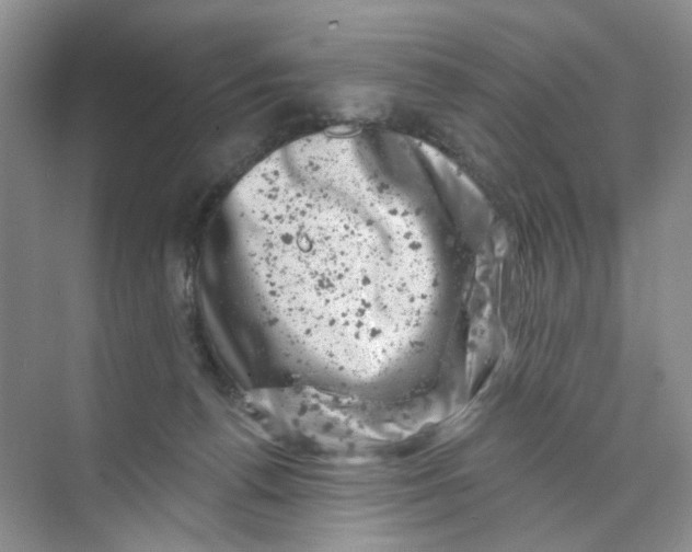 X0000074040176200609182002