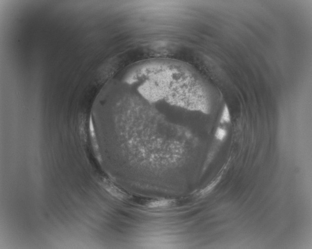 X0000074040178200609182002