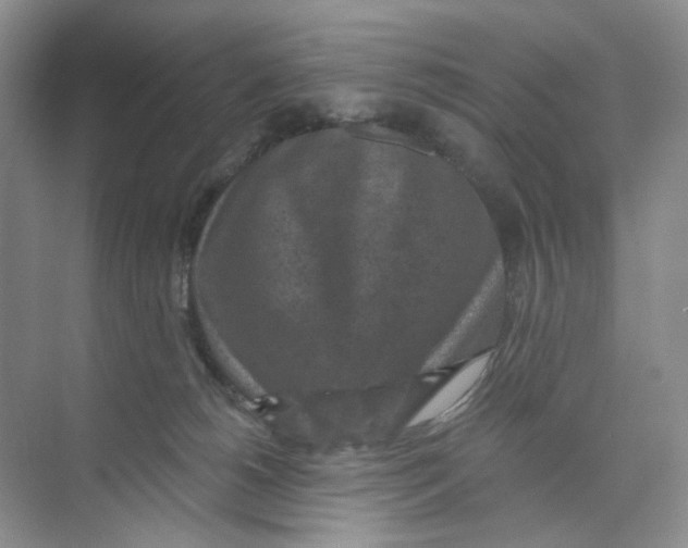 X0000074040180200609182002