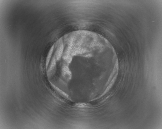 X0000074040181200609182002