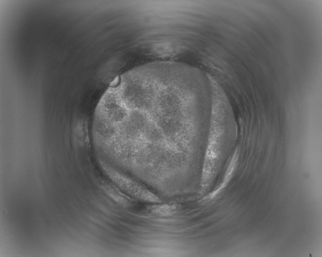 X0000074040182200609182002