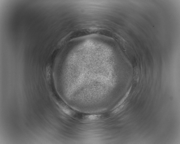 X0000074040184200609182002