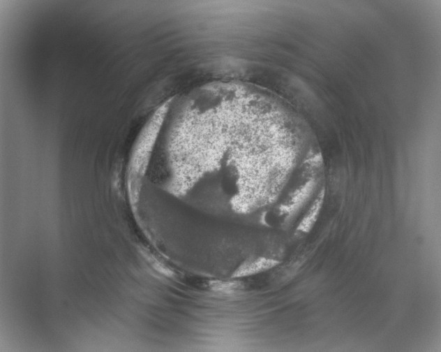 X0000074040185200609182002