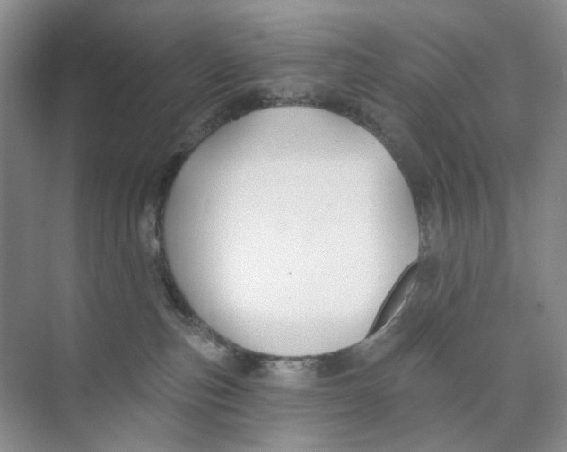 X0000074040187200609182002