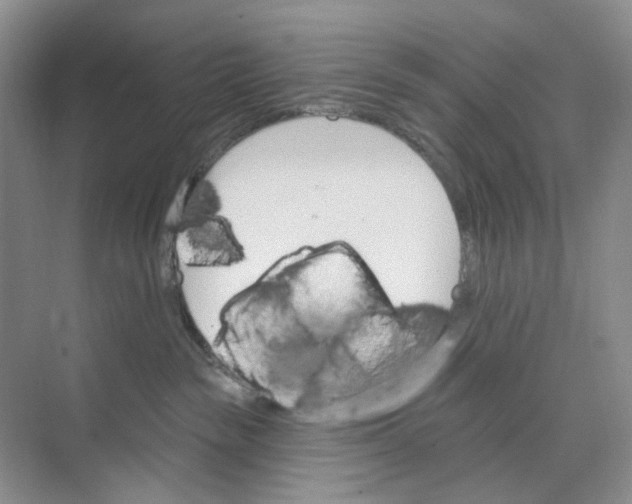 X0000074040189200609182002