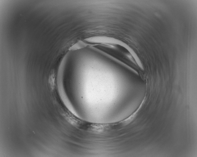 X0000074040190200609182002