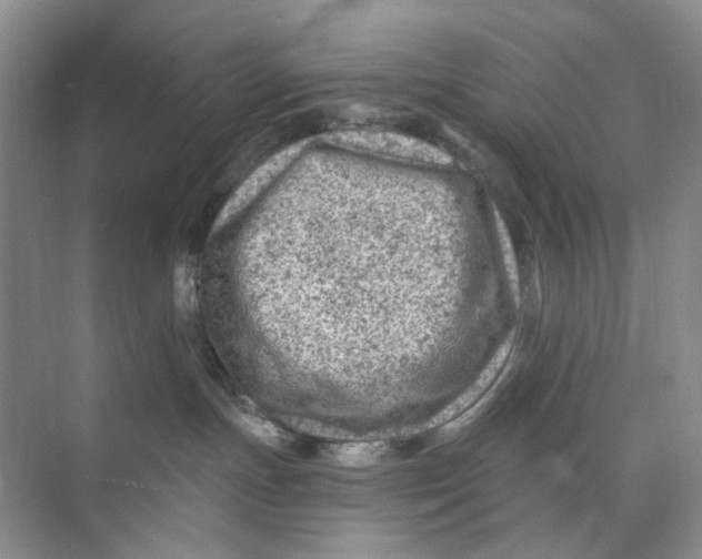 X0000074040191200609182002