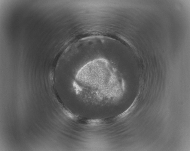 X0000074040192200609182002