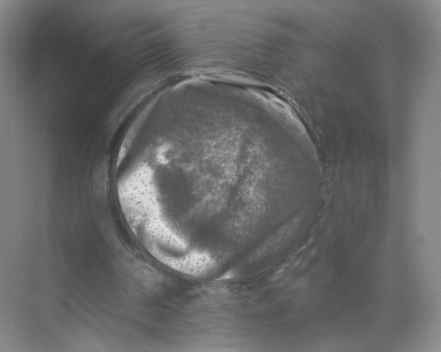 X0000074040194200609182001