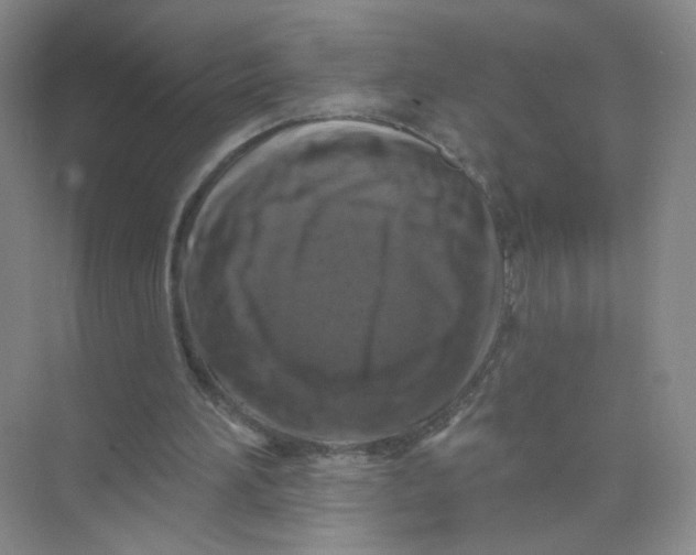 X0000074040196200609182001