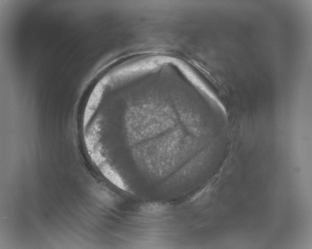 X0000074040198200609182001