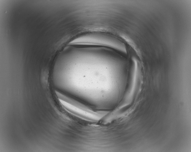 X0000074040201200609182001