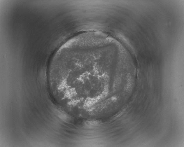 X0000074040202200609182001