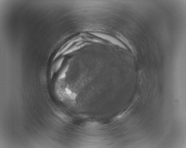 X0000074040203200609182001