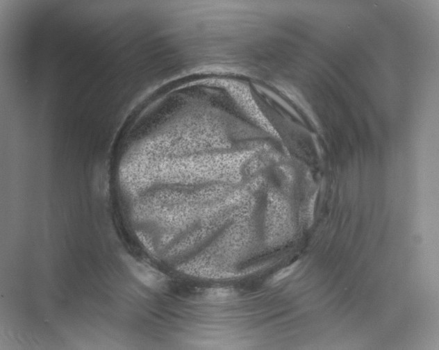 X0000074040204200609182001