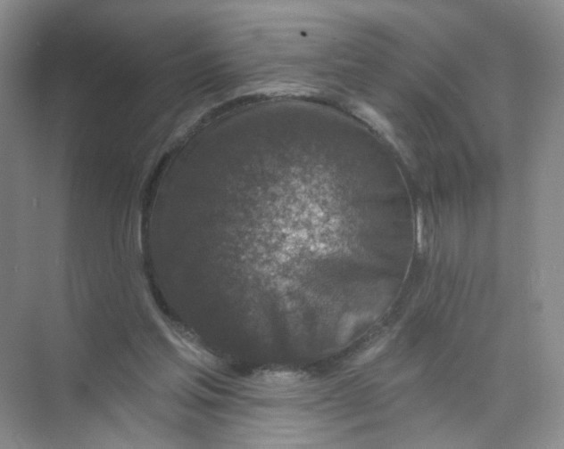 X0000074040205200609182001