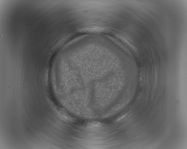 X0000074040206200609182001