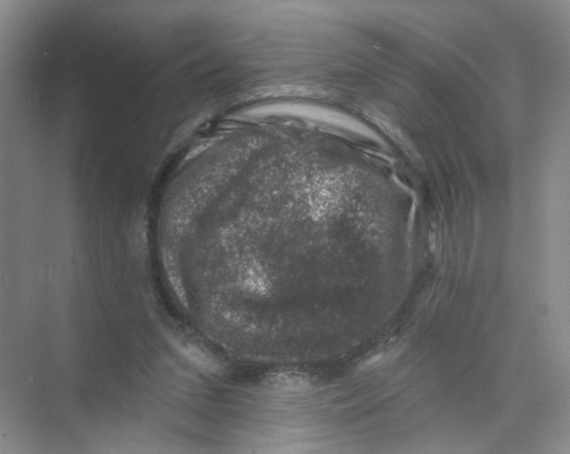 X0000074040207200609182001